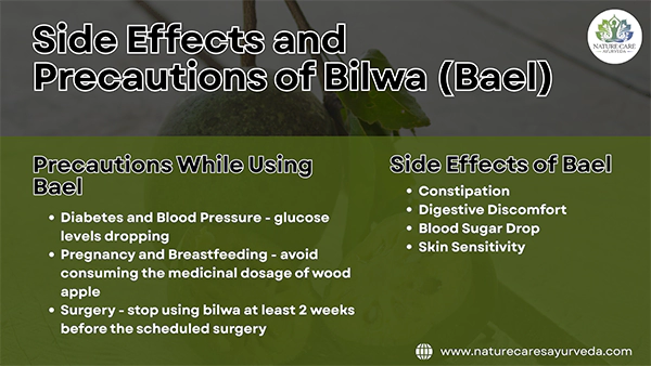 Side Effects and Precautions of Bilwa