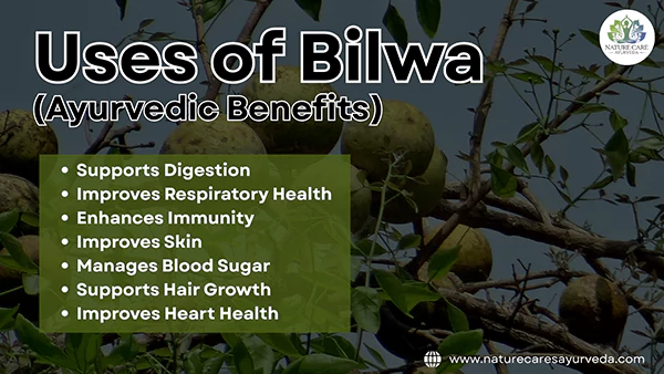 Uses of Bilwa or Bilwa Ayurvedic Benefits
