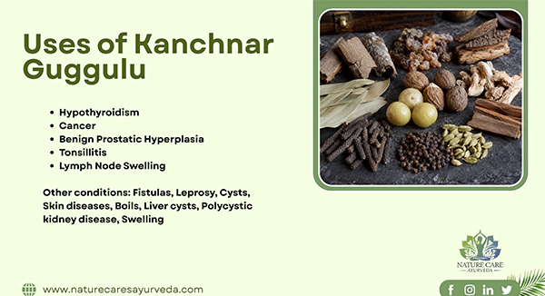 Uses of Kanchnar Guggulu