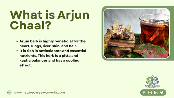 What is Arjun Chaal
