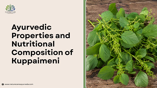Ayurvedic Properties and Nutritional Composition of Kuppaimeni