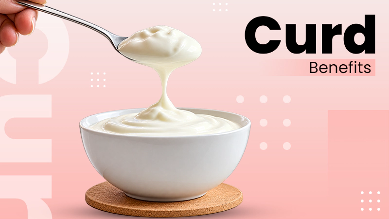 Curd Benefits