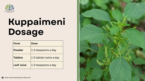Kuppaimeni Dosage