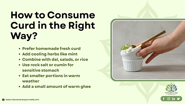 Six tips to consume curd rightly